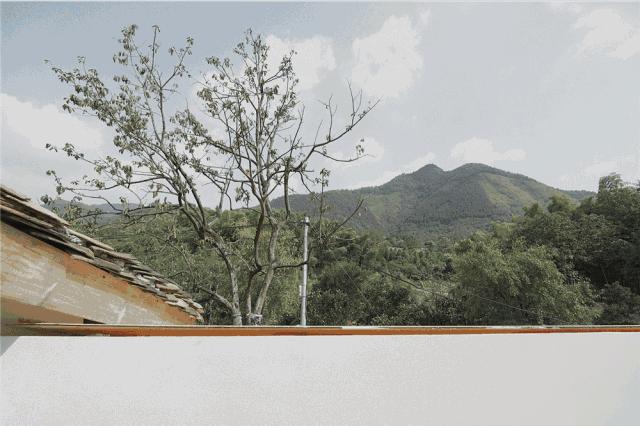 央视挖出来浙江冷门小城，小小鸭头都是世间绝味，人均100+住别墅