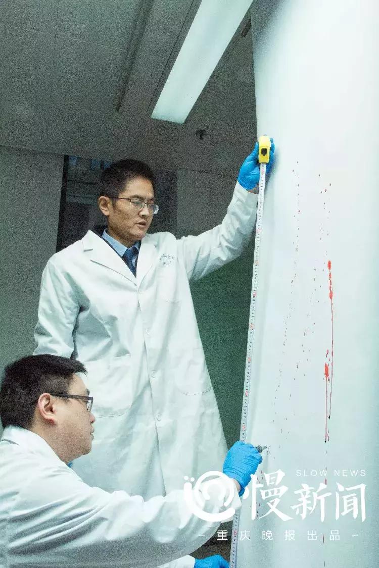 10部好看的法医悬疑电影,2022年度10部好看的法医悬疑电视剧