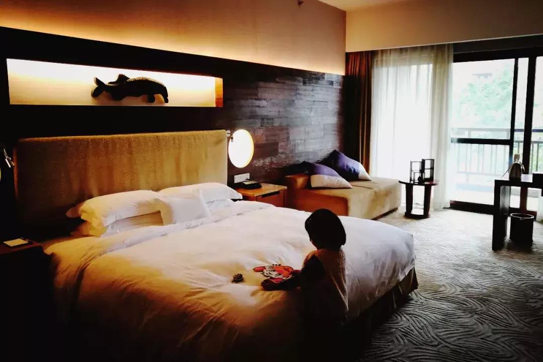 广州长隆动物园最全游玩攻略成人,去广州长隆野生动物园玩真实视频