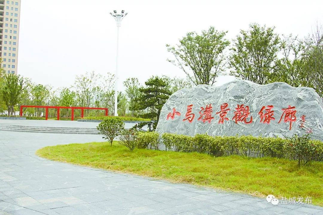 给力！盐城“组团”冲刺