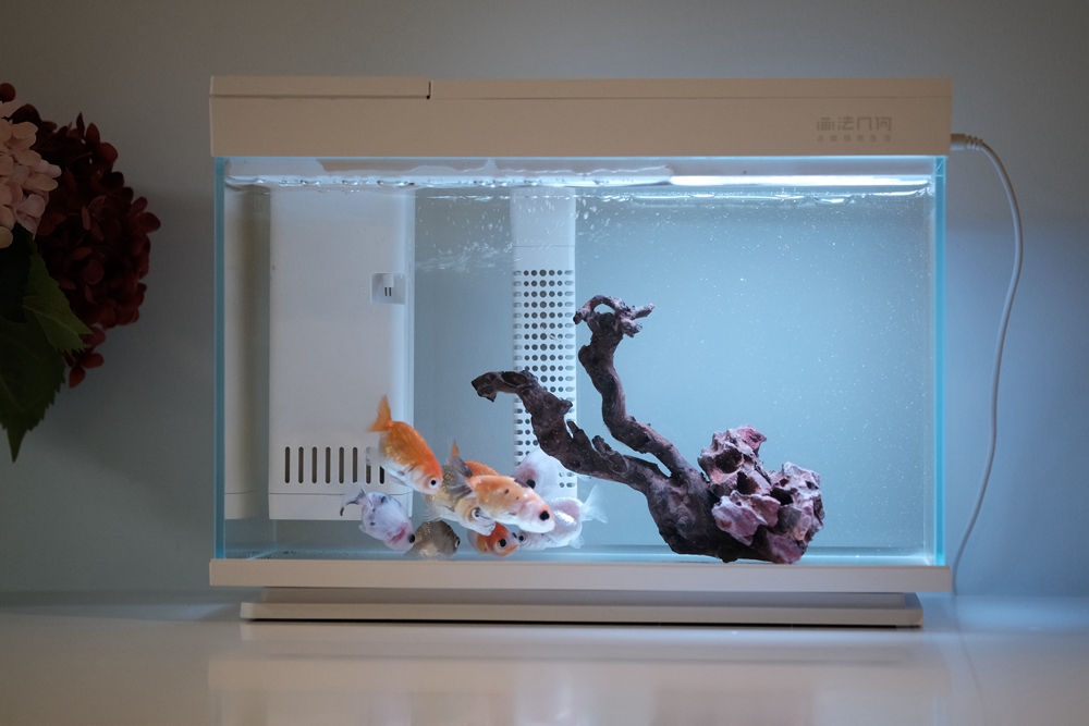 画法几何鱼缸造景,简易鱼缸几何画法