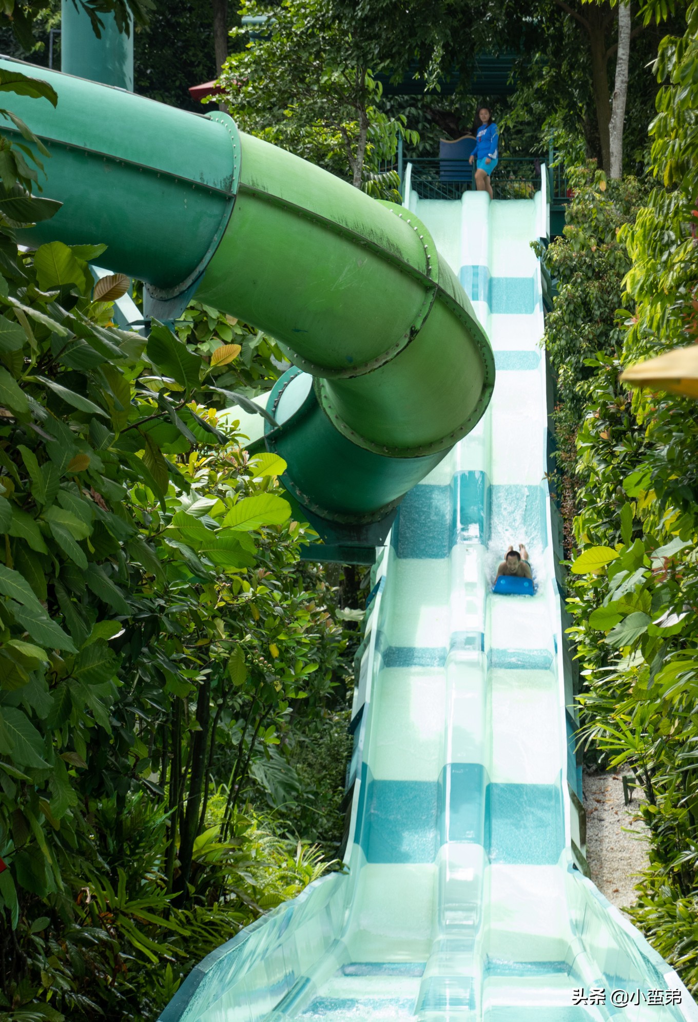 5年之许，小白逆袭重返新加坡