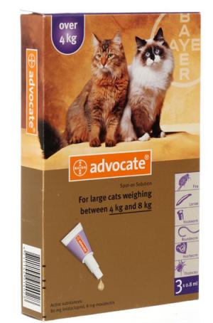 猫咪体外驱虫一般驱什么虫,猫咪体外驱虫什么药驱得全面