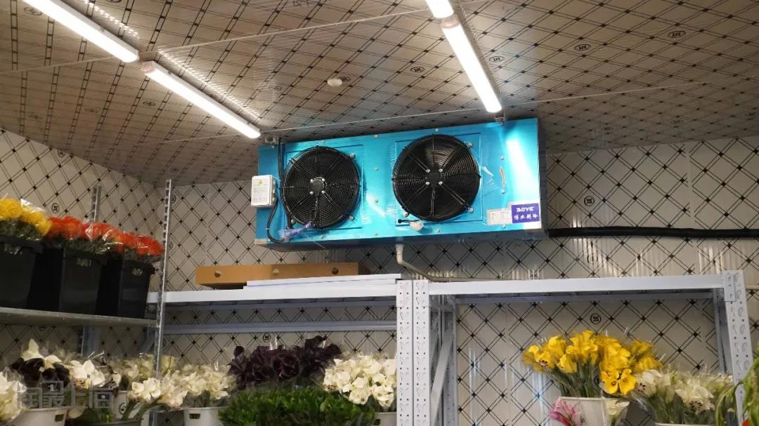 花卉市场晚上营业,今天的花卉市场