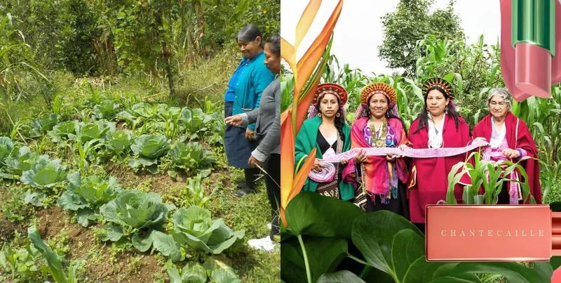 地球日50周年,追求零碳排、资源永续,看美妆品牌为环保做了什么