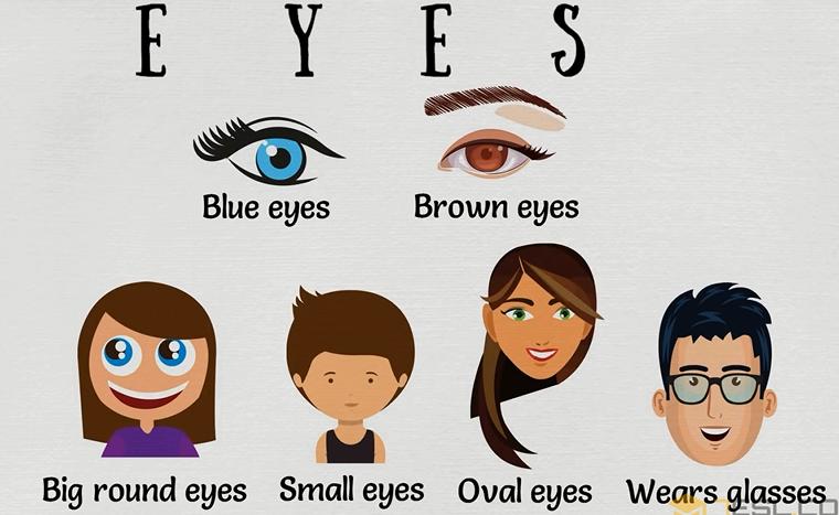 英语学习身体各部位名称,每日英语28个身体部位单词教学