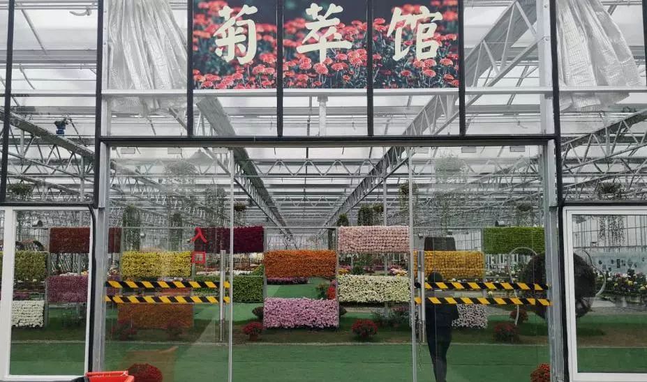 转发此推文，享绍兴平水海丰菊园半价票，更更更送自采菊花一束