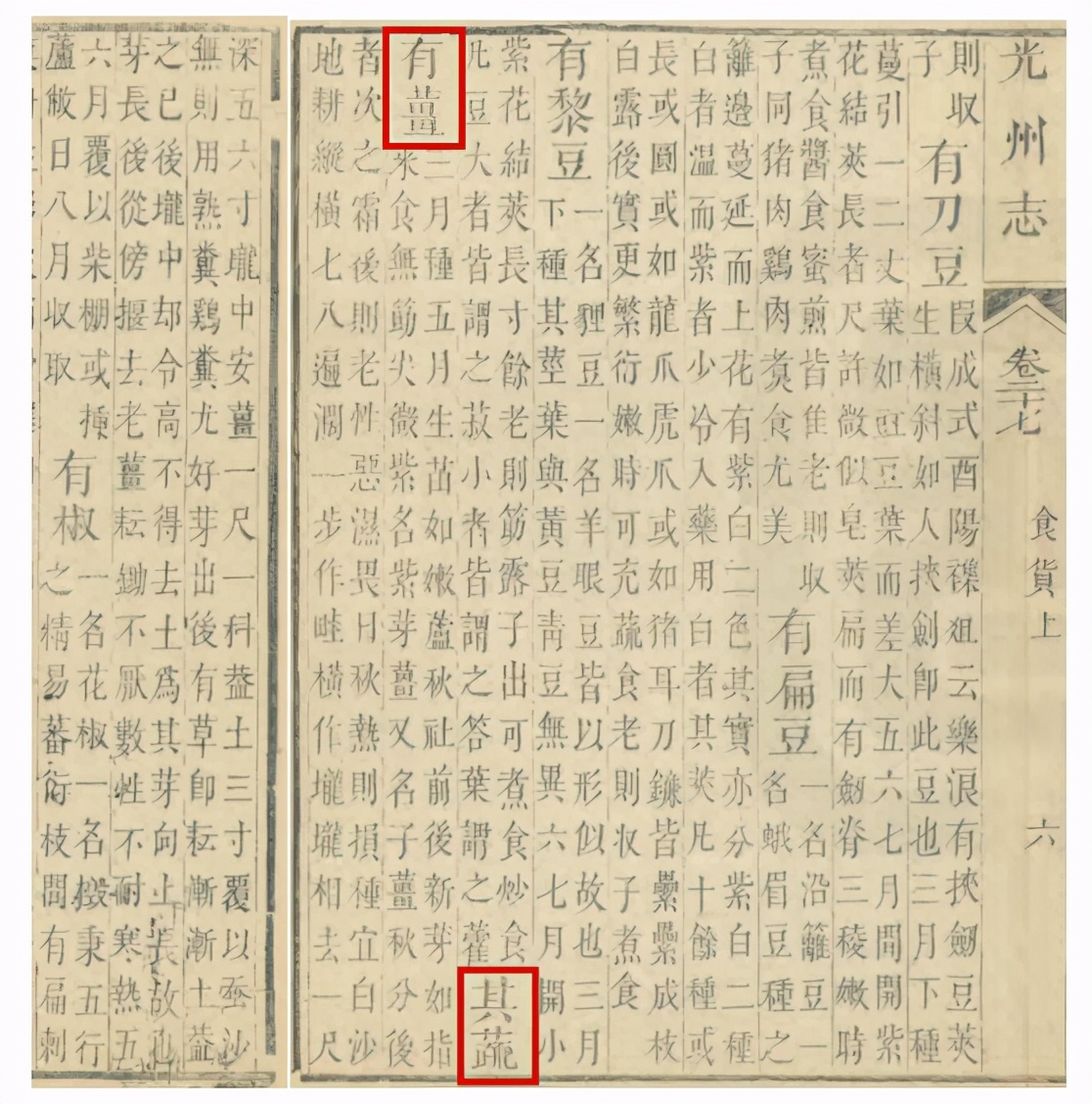 参加过1915年巴拉马博览会的州姜
