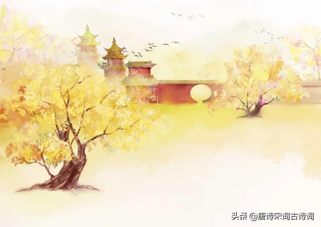 元曲里的秋：古道西风瘦马，白草红叶黄花