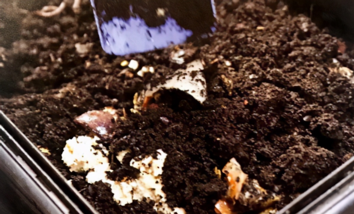 简单实用低成本自制养花肥料,用废物种菜种花