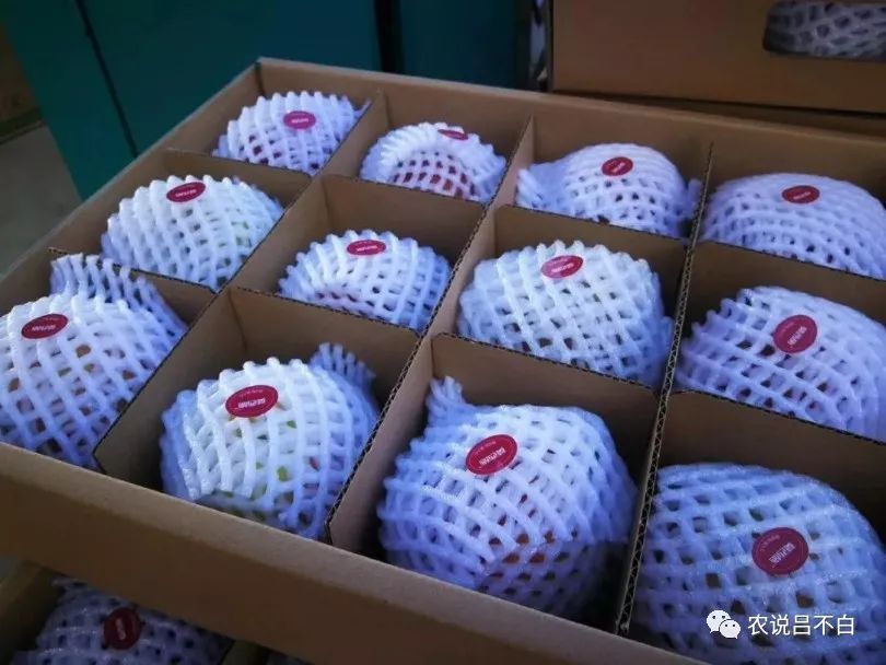 苹果怎么防止边缘误触,苹果如何防止碰伤