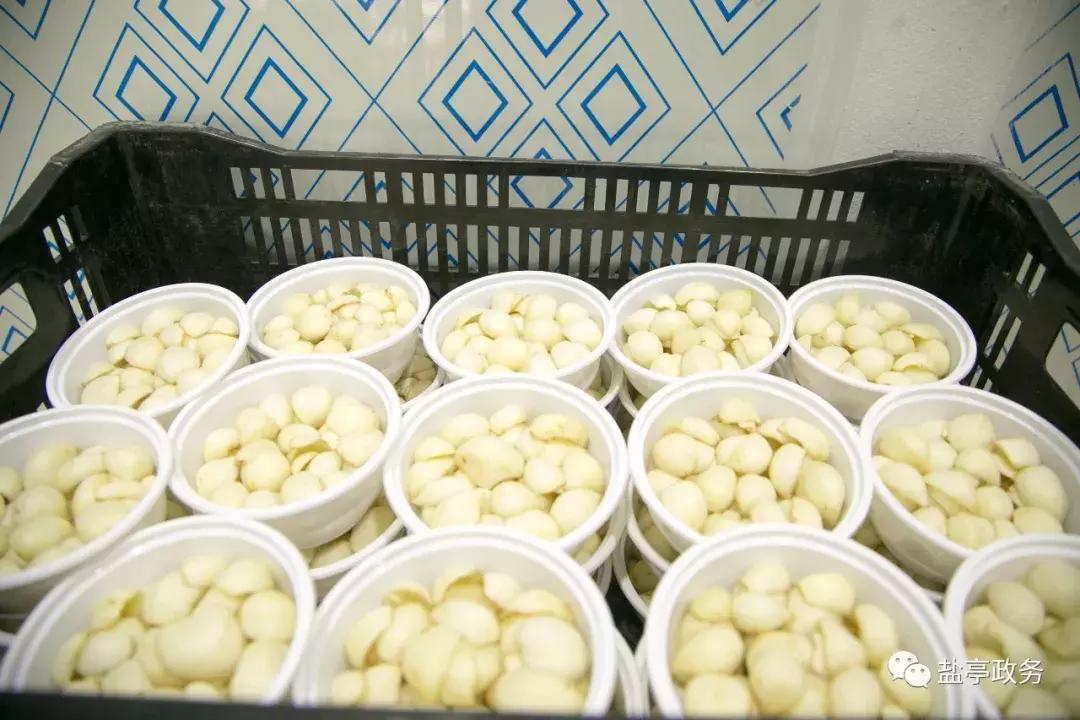 盐亭40年的样子,40年翻天覆地的巨变