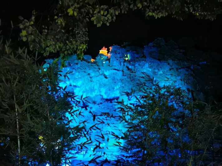 桂林市内值得去的地方,桂林适合孩子玩的地方