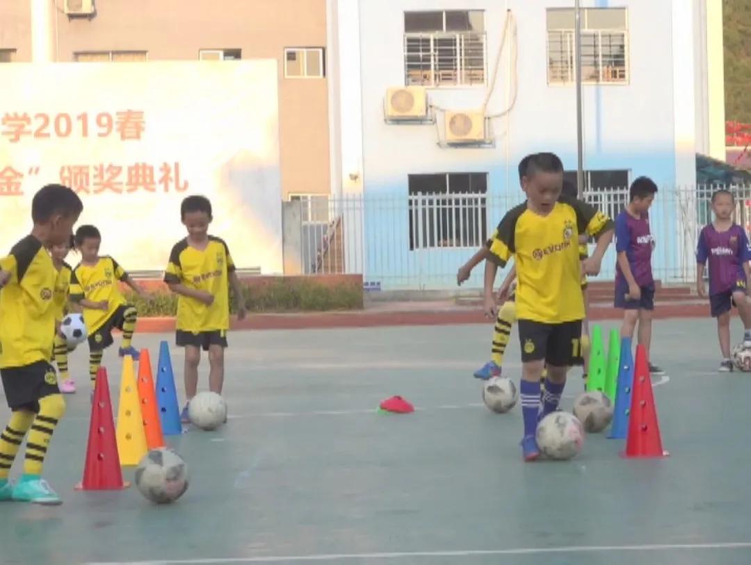 阳朔县阳朔镇第二小学图片,阳朔镇第二小学建设