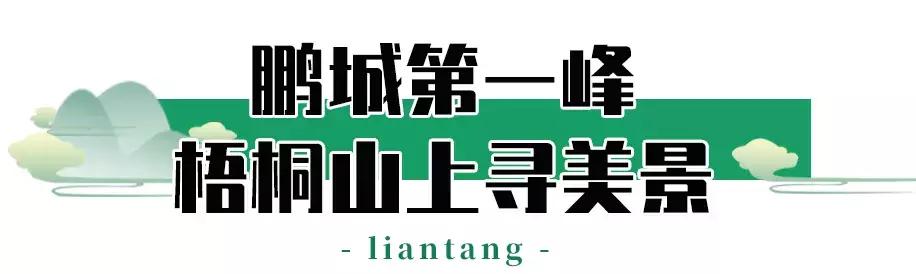 附近莲塘,附近的莲塘