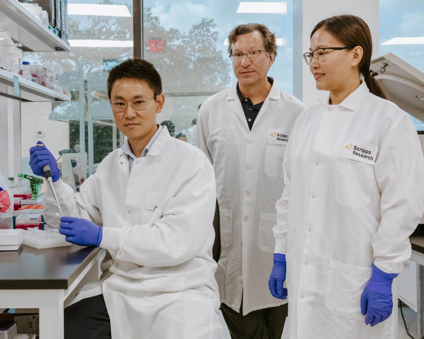 “转基因开关”可控制基因治疗的剂量，让治疗更安全