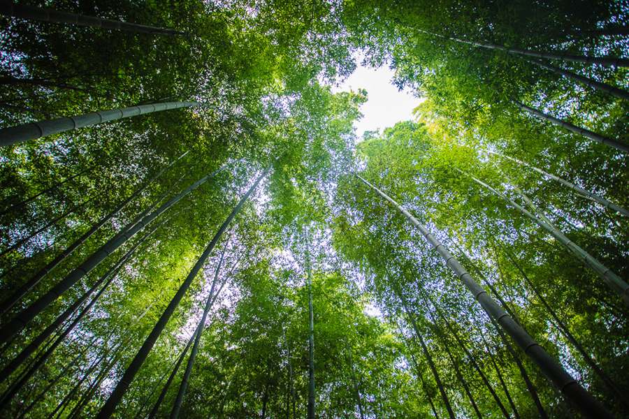 宜兴风景区推荐,宜兴这座诗情画意的江南小镇