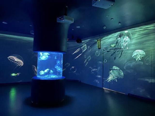 深圳暑假值得带孩子旅游的地方,深圳十大暑假室内必去景点