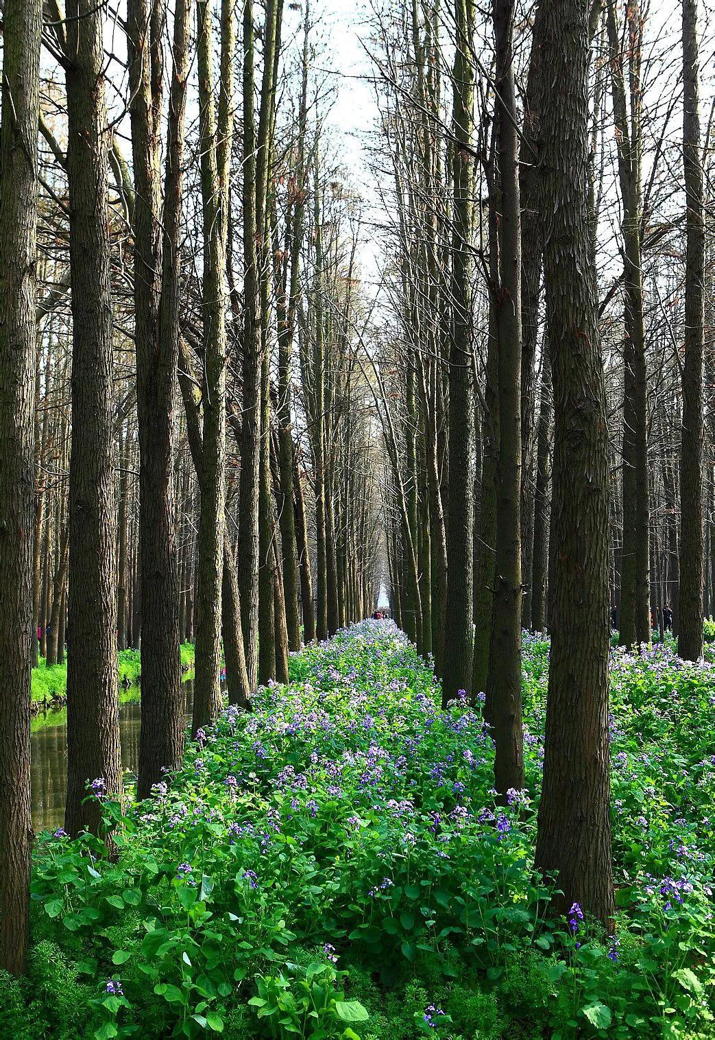 兴化的城市好冷,外地人评论兴化