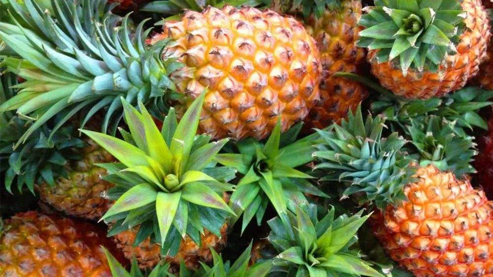 如何用家里的菜刀削菠萝,用菜刀怎么给菠萝削皮