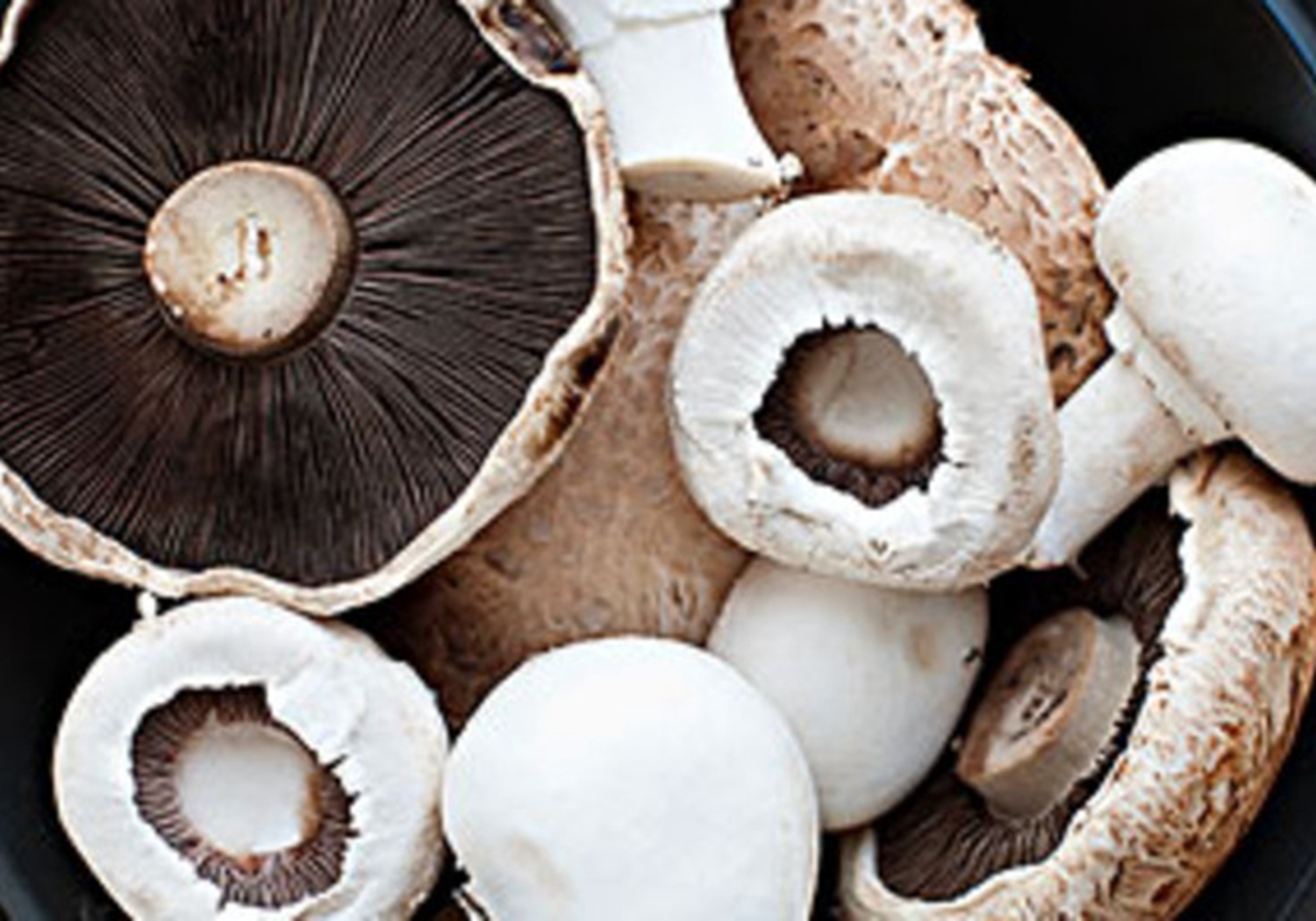 双孢菇怎么栽培种植,双孢菇种植需要什么条件