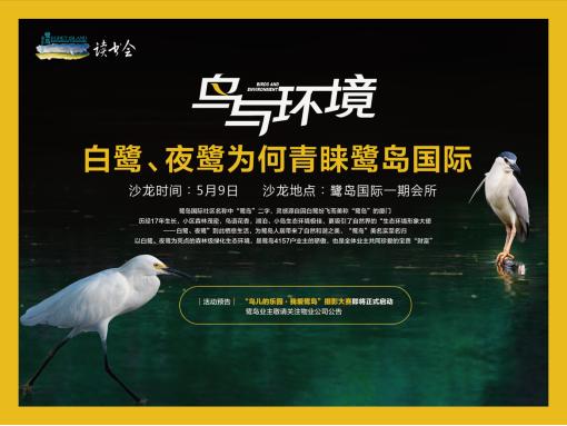 夜鹭栖居鹭岛国际社区:鸟类专家点赞成都“公园城市”建设