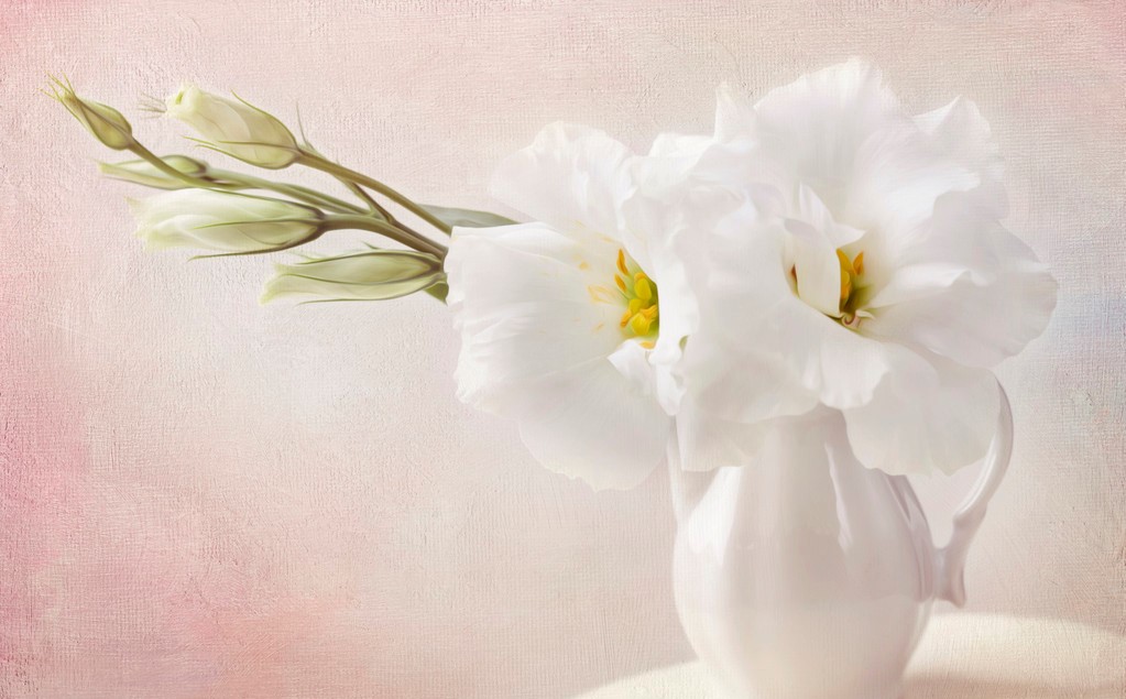 拼多多无货源开店技巧和手法,拼多多开店无货源该如何基础运营