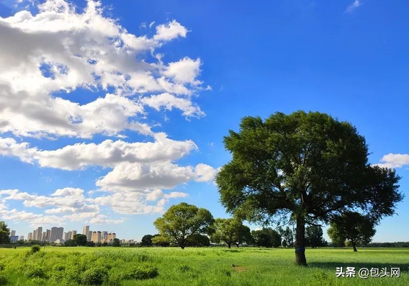 老包头变新包头,老包头的改变