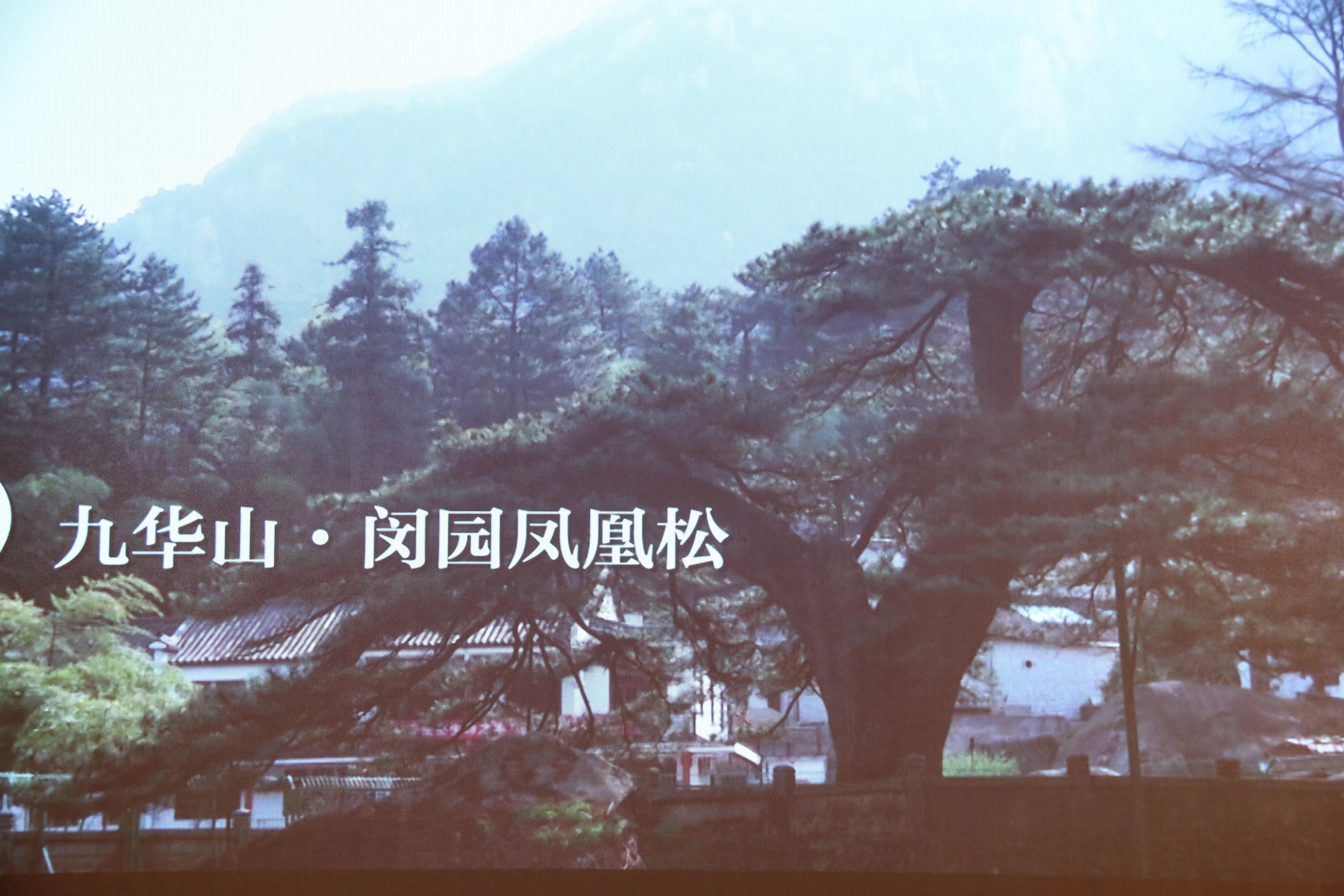 池州十大网红打卡点,池州免费网红景点打卡