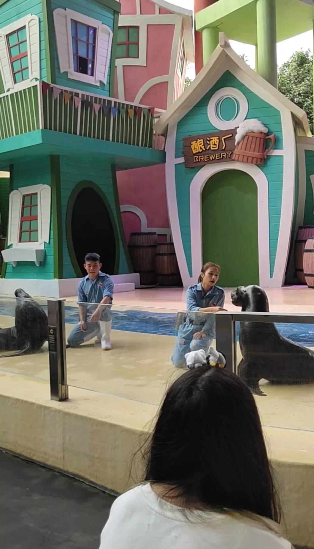 珠海长隆海洋王国一天路线图,珠海长隆海洋王国一日游详细攻略