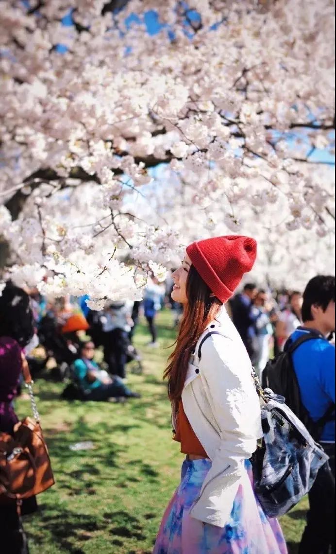 许婧为什么和陈赫离婚,陈赫离婚后许婧过得怎样