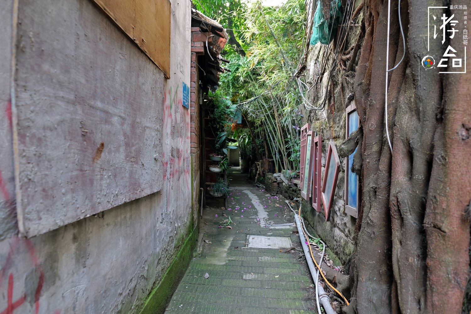 燕子岩重庆,重庆燕子岩风景区