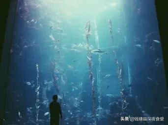 中国小龙虾地图,小龙虾源头国家