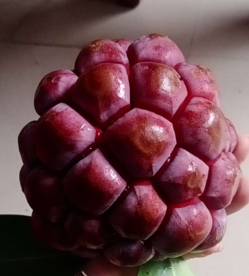 吃起来像葡萄又不是葡萄的水果,和葡萄似的特别甜的水果