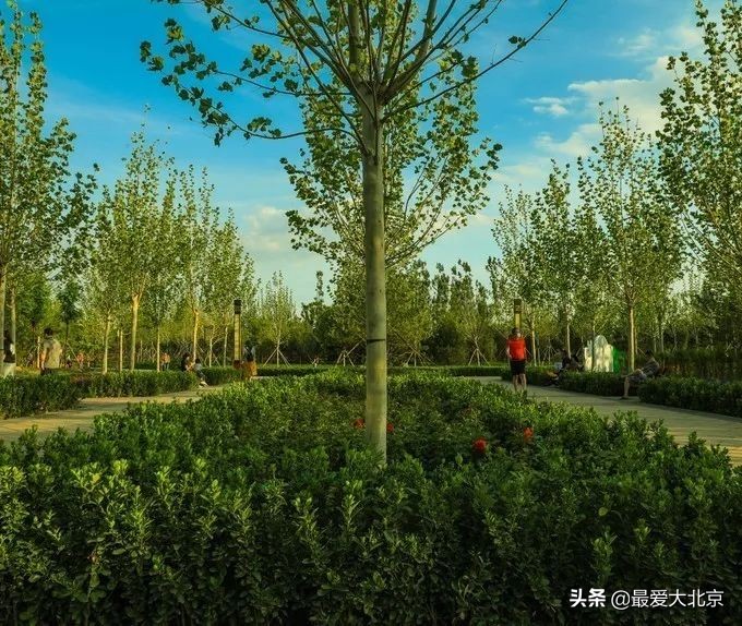 京城新增一“小江南”！免费人少