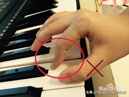 自学电子琴入门电子琴指法如何学,零基础弹电子琴教程母亲