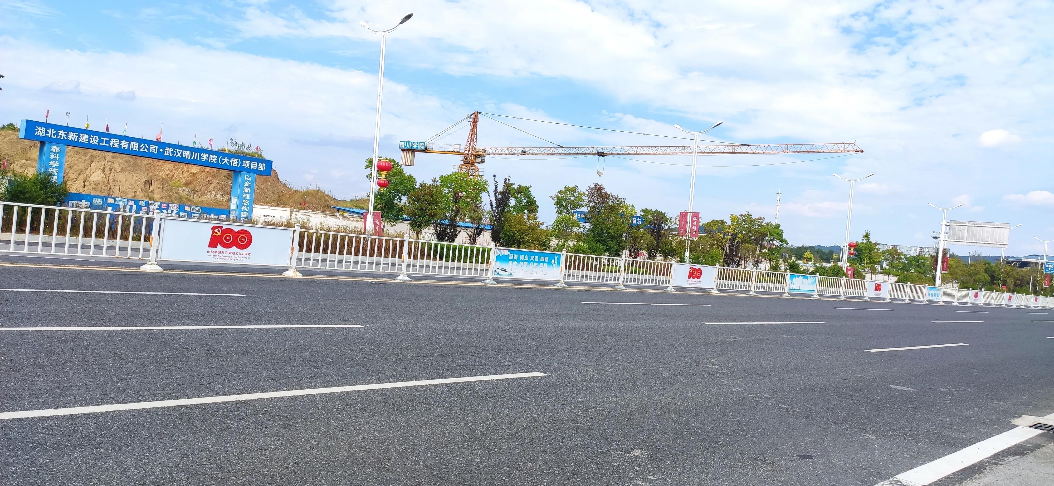 大悟大学城,武汉大悟大学城规划