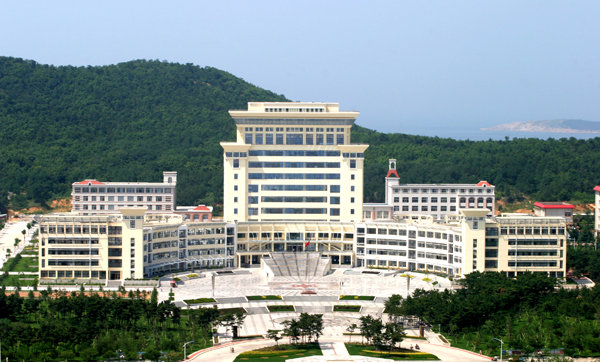 山东大学2020届就业质量,山东大学毕业就业前景