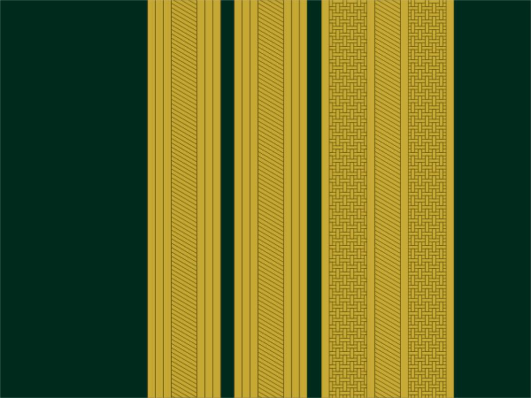 各国军队标识葡萄牙陆军,各国军衔标识葡萄牙
