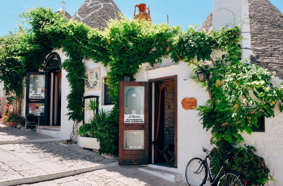 开花店的十大忠告,开花店的人现在都怎么样了