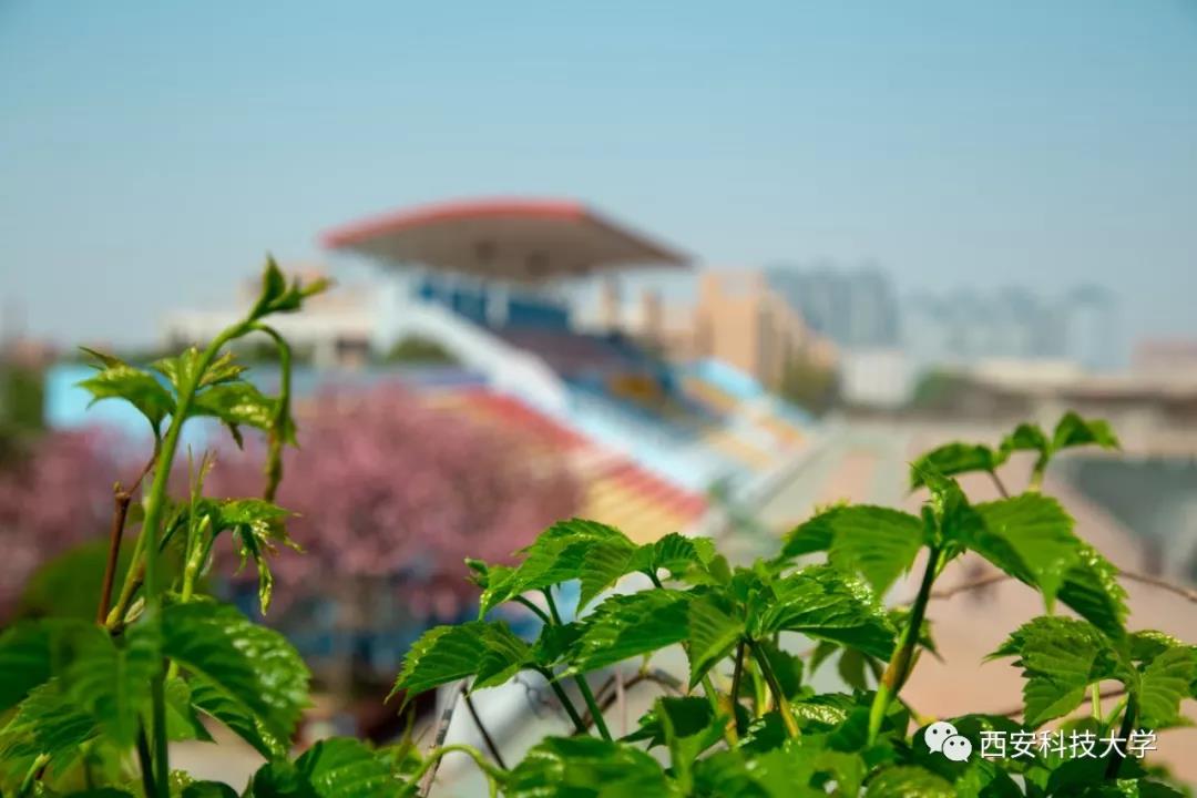 2018年西安科技大学研究生招生,西安科技大学2020研究生招生简章