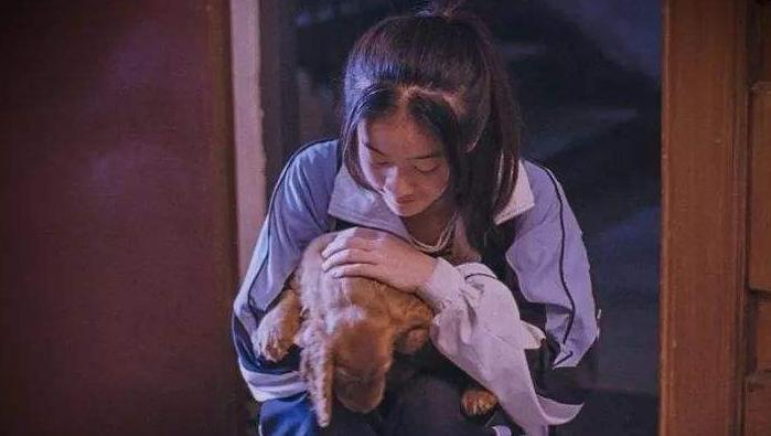 2018年最值得回味的电影盘点,2018年电影盘点