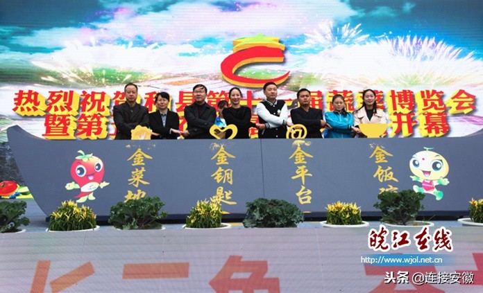 和县蔬菜产业发展,蔬菜产业如何与乡村振兴有效衔接