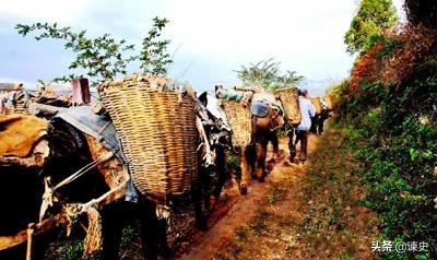 历史上茶马互市是干什么的,茶马互市起源于哪个朝代