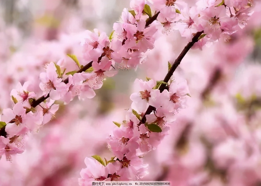 璇昏瘲涓嶅彲涓嶈璇楃粡,璇昏瘲鍏堣璇楃粡