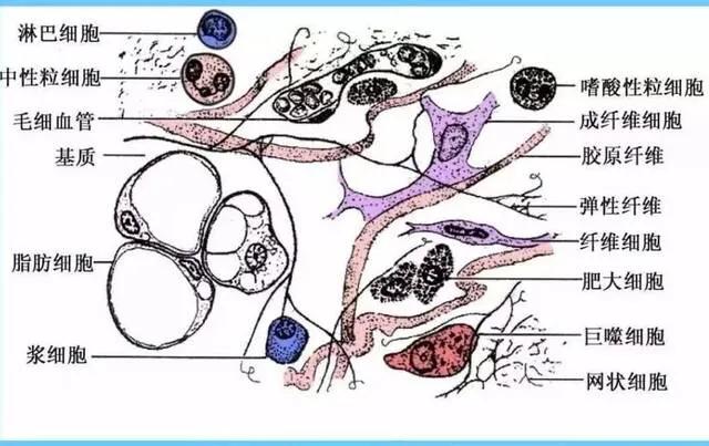 中医针灸埋线治疗腰疼,埋针治腰疼的最佳方法