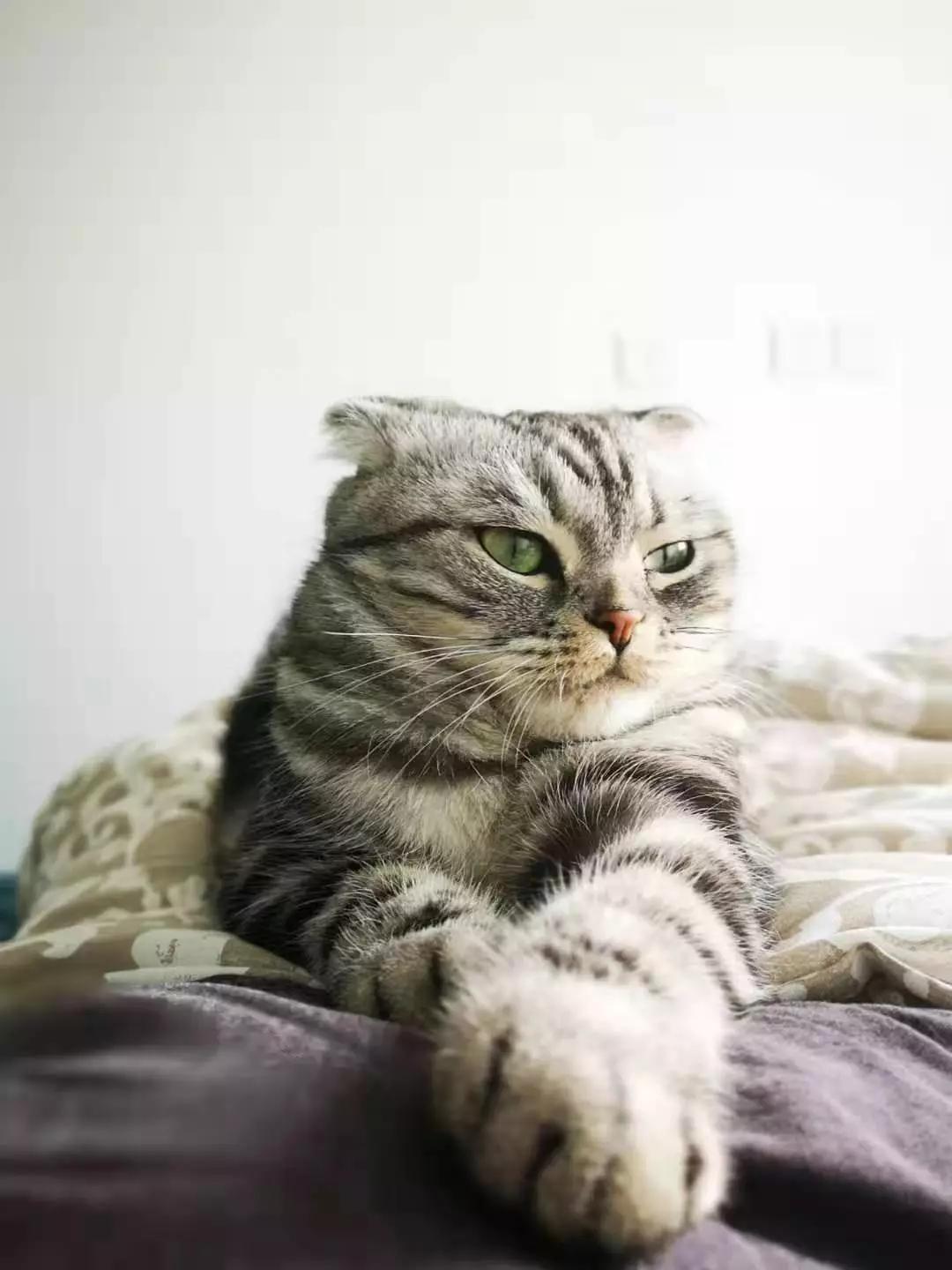 零元购的骗局,零元购是不是骗局