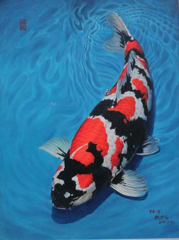 渔友张哥小视频,新鱼缸养锦鲤鱼正确的方法和技巧