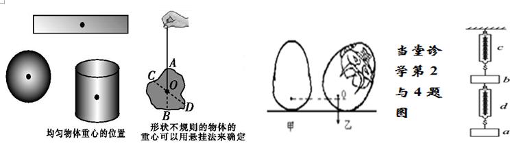 6.3《重力》的教学,6.3重力练习
