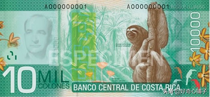 全球值得收藏的纸币,世界各国前五大超有趣纸币